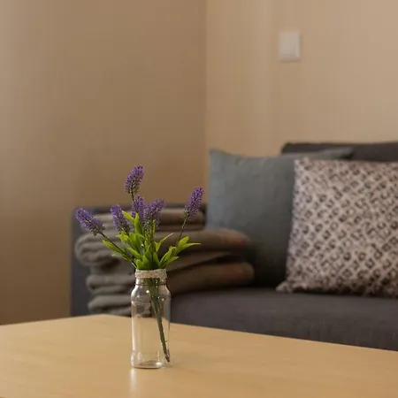Rio Duero 1 Apartment